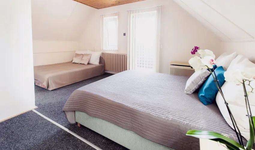 Apartman Szanyi Bk, Bkfrd