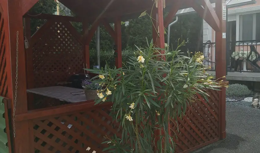 Atlas Apartman B�k, B�kf�rd�