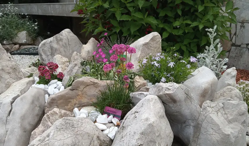 Atlas Apartman B�k, B�kf�rd�