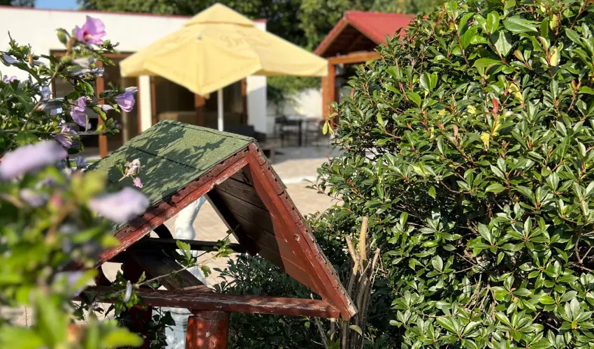 Bajor Panzi Aparthotel Bk, Bkfrd