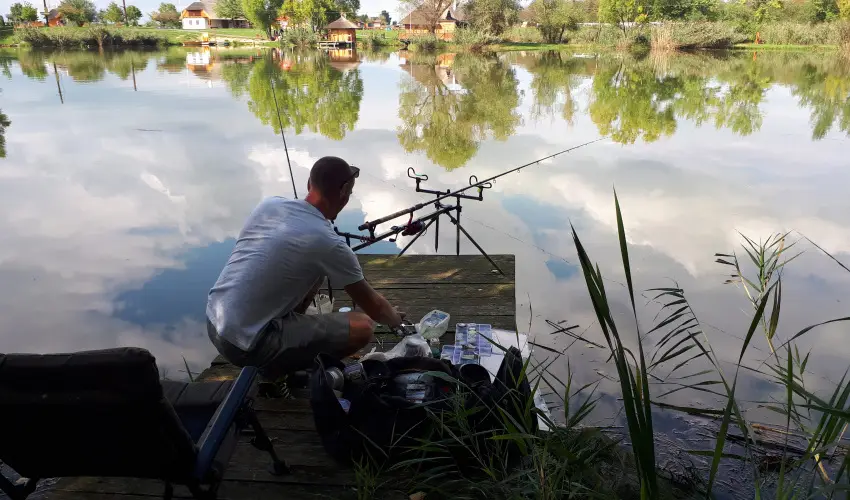 Csodaszarvas Tjpark Rbahdvg