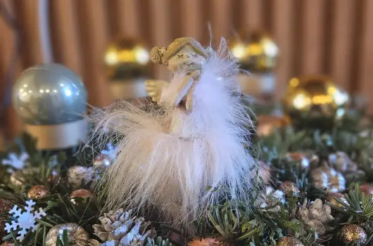 Holdvir�g Hotel, S�rv�r