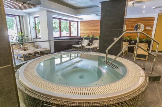 Hotel Bassiana, Srvr