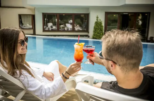 Hotel Bassiana, Srvr