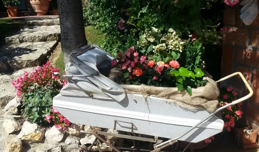 Jo Fogad Wellness Panzi Rbapaty