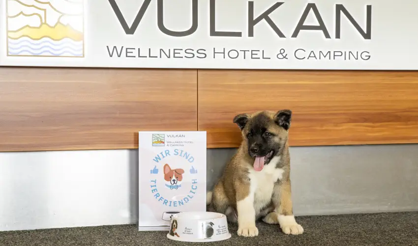 Vulkán Wellness Hotel és Kemping Celldömölk