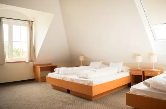 P4W Hotel Residence Szombathely, Szombathely, Srvr - 27 km