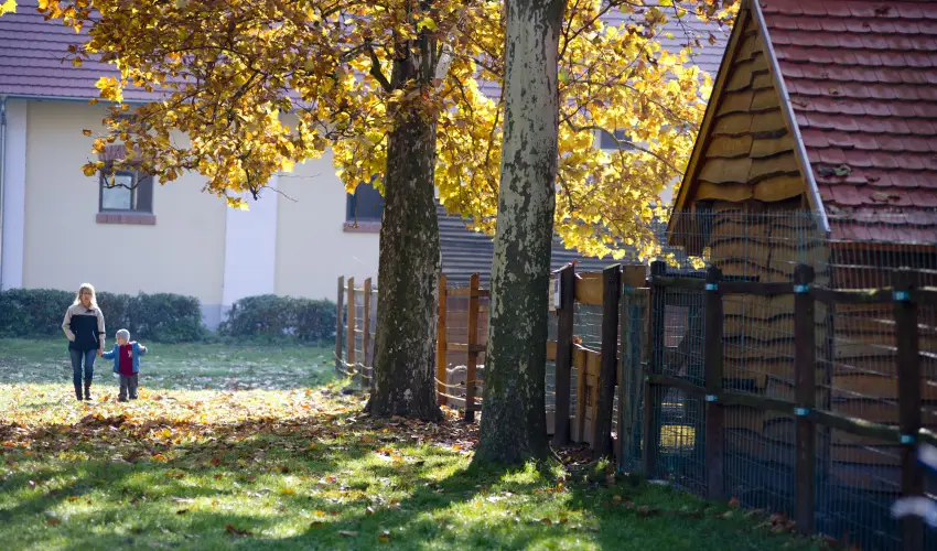 Vadkert Major Sárvár