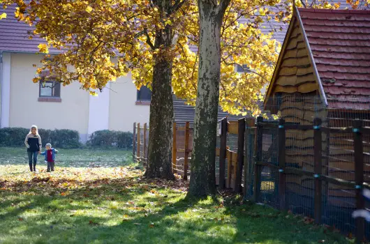 Vadkert Major, S�rv�r