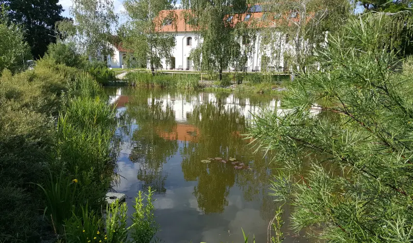 Vadkert Major Sárvár