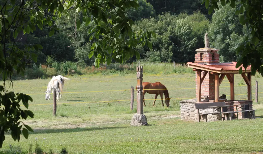 Vadkert Major Sárvár